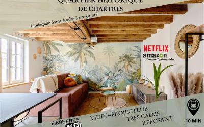 Appartement 1 Chambre