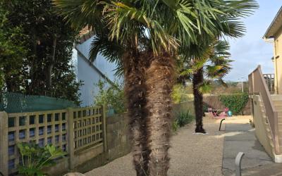 Suite Familiale (5 Personnes)