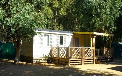 Mobile Home Mobile Home