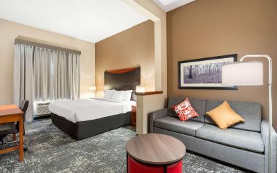 King Suite - Accessible/Non-Smoking