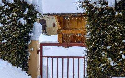 Appartement 1 Chambre Appartement 1 Chambre