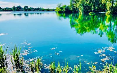 Appartement 1 Chambre Appartement 1 Chambre