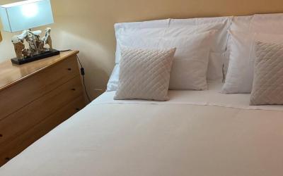 Appartamento con 1 Camera da Letto