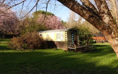 Bungalow - Vue sur Jardin Bungalow - Vue sur Jardin