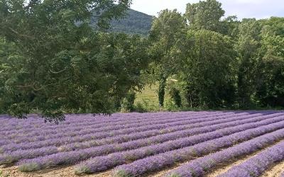 Chambre Double avec Salle de Bains Privative