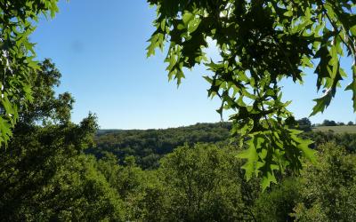 Chambre Quadruple - Vue sur Jardin Chambre Quadruple - Vue sur Jardin