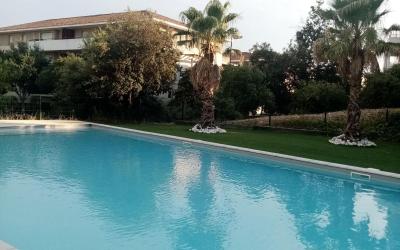 Appartement 1 Chambre Appartement 1 Chambre