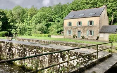 Villa Villa