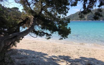 Maison 1 Chambre Maison 1 Chambre