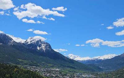 Appartement 1 Chambre