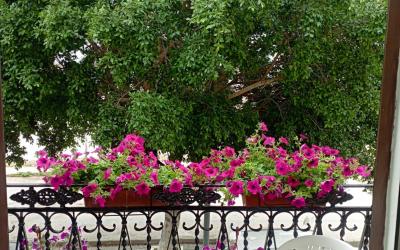 Appartamento con 2 Camere da Letto