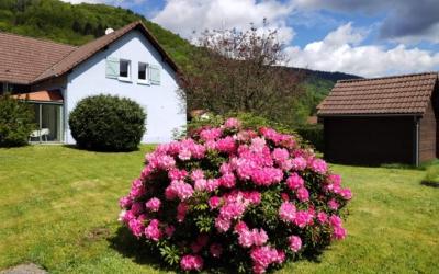 Appartement 3u00a0Chambres Appartement 3u00a0Chambres