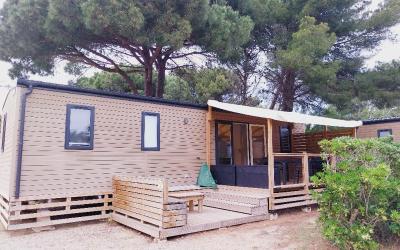 Mobile Home
