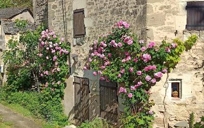 Maison 2u00a0Chambres