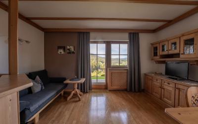 Appartamento Deluxe con 1 Camera da Letto