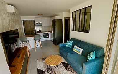 Appartement 1 Chambre