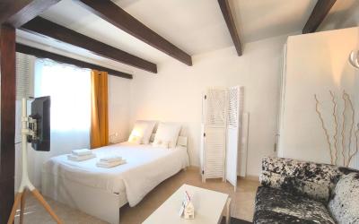 Appartement 1 Chambre