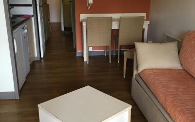 Appartement 1 Chambre