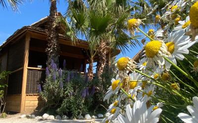 Hutte Tiki Jardin Premium - Bungalow 2 Chambres (4 Adultes + 2 Enfants) Hutte Tiki Jardin Premium - Bungalow 2 Chambres (4 Adultes + 2 Enfants)