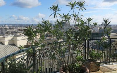 Appartement 3u00a0Chambres Appartement 3u00a0Chambres