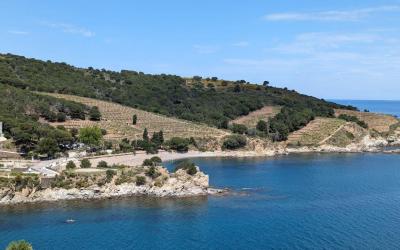 Appartement - Vue sur Mer
