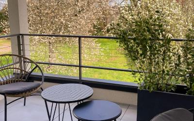 Appartement 1 Chambre Supu00e9rieur avec Balcon Appartement 1 Chambre Supu00e9rieur avec Balcon