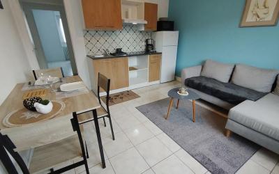 Appartement 1 Chambre