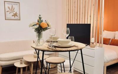 Appartement 1 Chambre