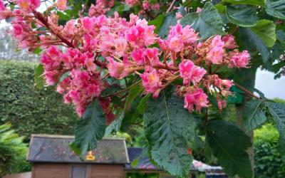 Chambre Double avec Salle de Bains Privative