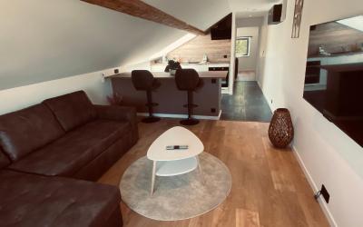 Appartement 1 Chambre