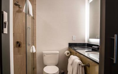 Boutique King Room 