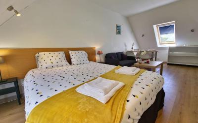 Appartement 1 Chambre