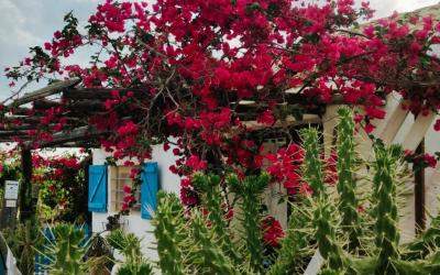 Camera Matrimoniale con Vista Giardino