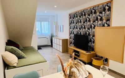 Appartement 1 Chambre