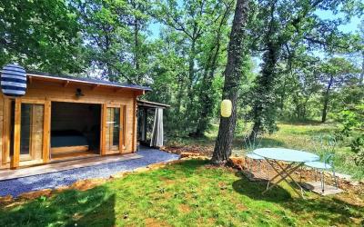 Appartement 1 Chambre