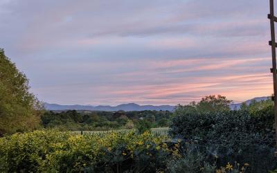 Appartement 1 Chambre Appartement 1 Chambre