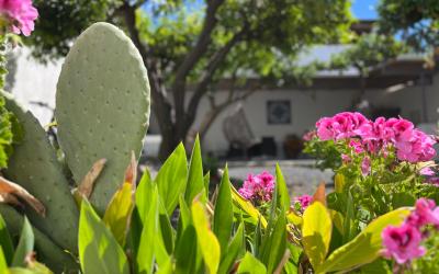 Camera Matrimoniale con Vista Giardino