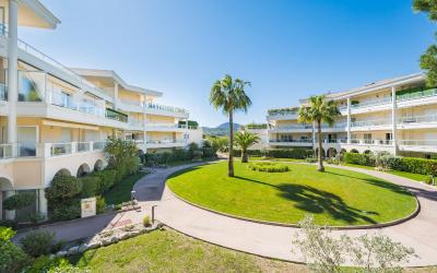 Appartement 1 Chambre Appartement 1 Chambre