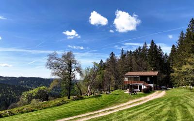 Chambre Double - Vue sur Montagne Chambre Double - Vue sur Montagne