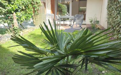 Appartement 1 Chambre