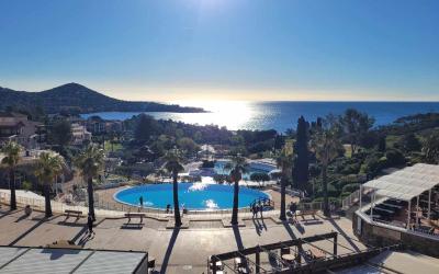 Appartement 1 Chambre