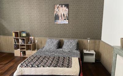 Appartement 1 Chambre