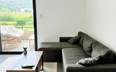 Appartement 1 Chambre