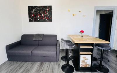Appartement 1 Chambre
