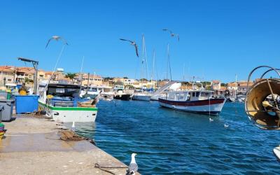 Appartement 1 Chambre