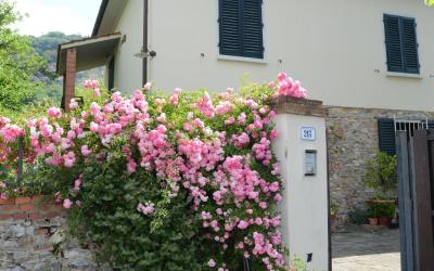 Casa con 1 Camera da Letto Casa con 1 Camera da Letto