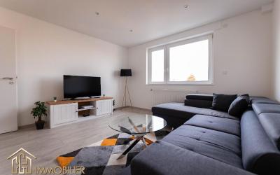 Appartement 1 Chambre Deluxe