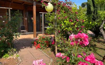 Chalet con 1 Camera da Letto