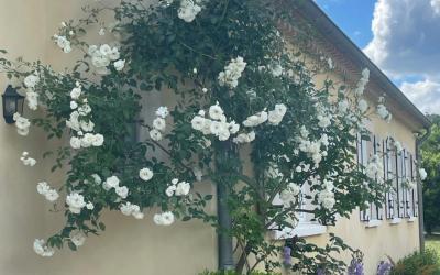 Villa 3u00a0Chambres