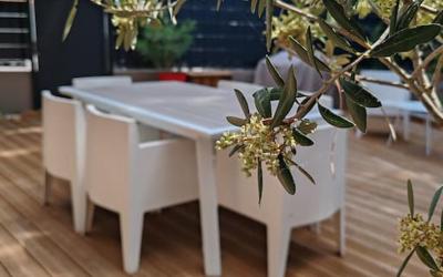 Appartement 3u00a0Chambres